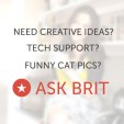 Need Ideas? Ask Brit!