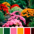 Tuesday’s Tech of the Week: Type & Color Edition Tuesday’s Tech of the Week: Type & Color Edition