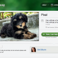 Spotwag Helps You Find a Pet Sitter Among Your Friends Spotwag Helps You Find a Pet Sitter Among Your Friends