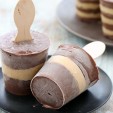 2. Chocolate and Salted Caramel Pudding Pops