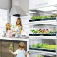 The Nano Garden Lets You Grow Veggies Right in Your Kitchen
