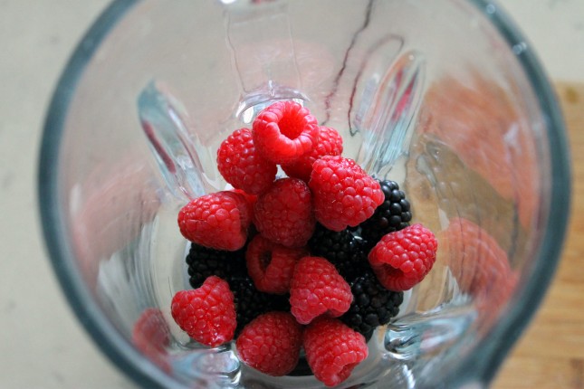 Berry-BerriesBlender