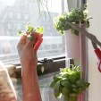 Windowfarms Turns Any Window into an Edible Garden Windowfarms Turns Any Window into an Edible Garden