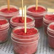 9. Cranberry Orange Rhubarb Popsicle