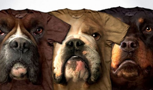 AnimalFace