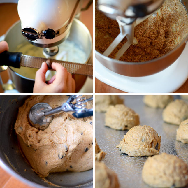 Choc-Pumpkin-How