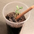 Pencil Pushers Unite! 5 Innovative Writing Tools Pencil Pushers Unite! 5 Innovative Writing Tools