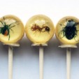 The BritList: Folding Kayaks, Insect Lollipops + More