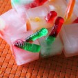 They’re Creepy, They’re Crawly, They’re (Gummy) Worm-Infested Ice Cubes!