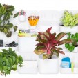 Create a Living Workspace with Urbio Create a Living Workspace with Urbio