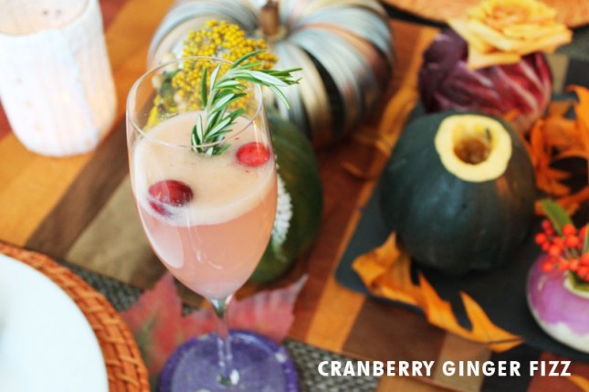 cranberry_fizz