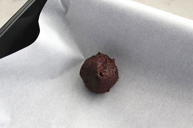 BaileyTruffles-Molded