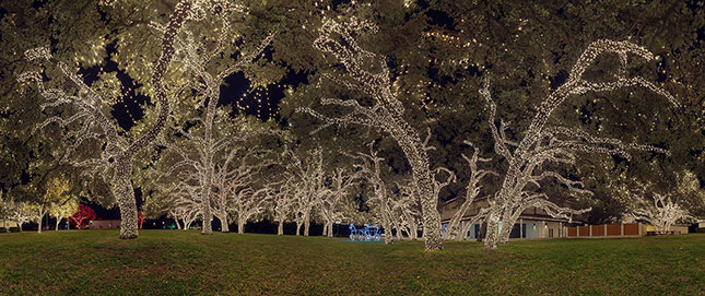 XmasLights-17Johnson