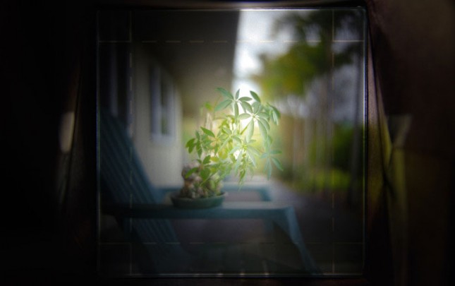 Duo-viewfinder