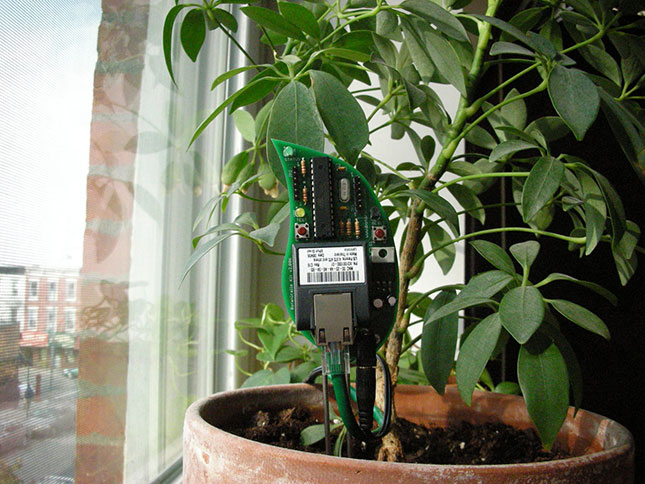 Plant-Botanicalls