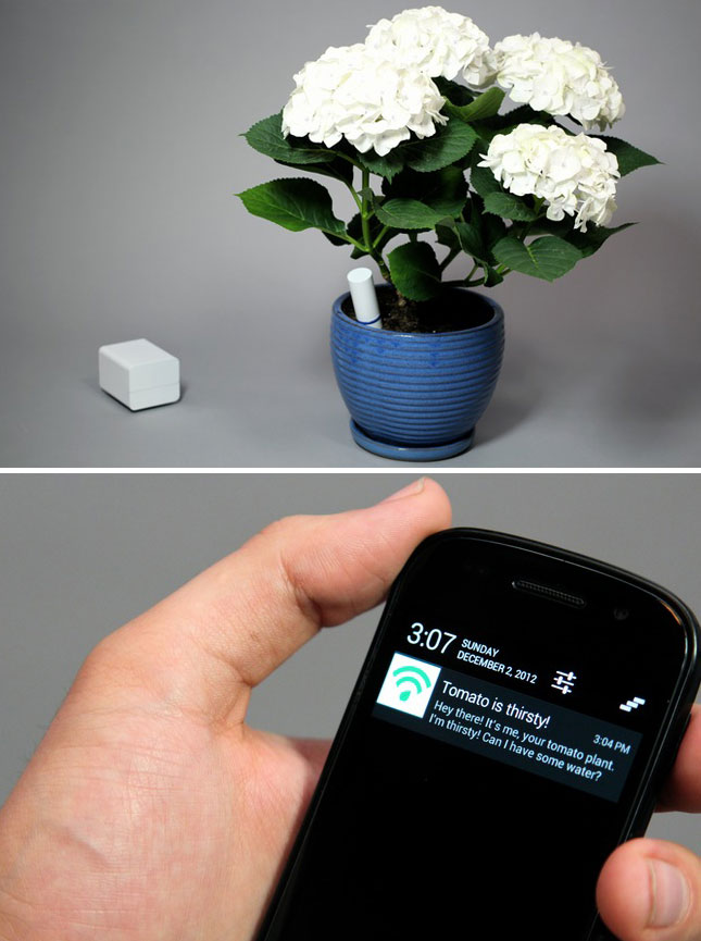Plant-PlantLink