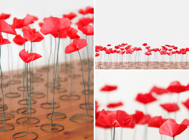 Oz-7-Poppies
