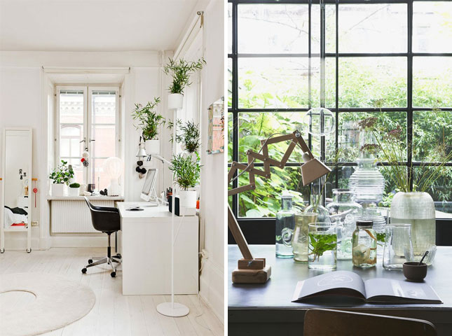 Workspace-9-Flora