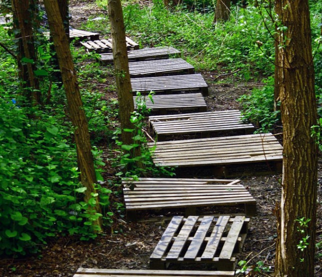 12-Path