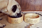 Adventures in Wood Burning: Dog Bowl Project
