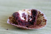 Tasty Black-Bottom Cupcakes