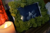 DIY Moss Picture Frames