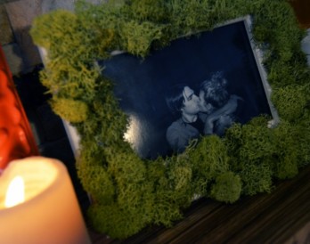 No-Fuss Gardening: Moss-Covered Picture Frames