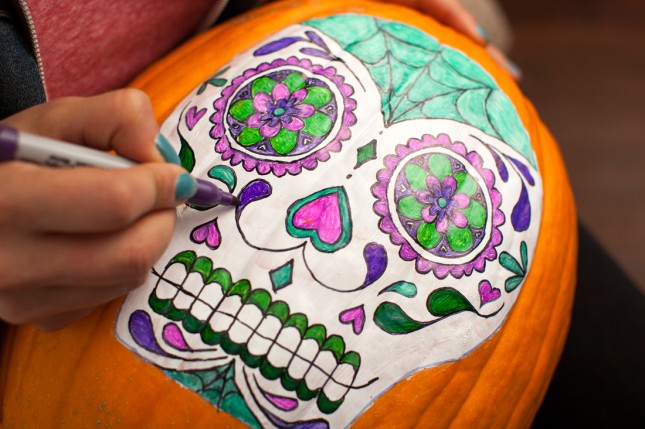 Pumpkins-9-Color