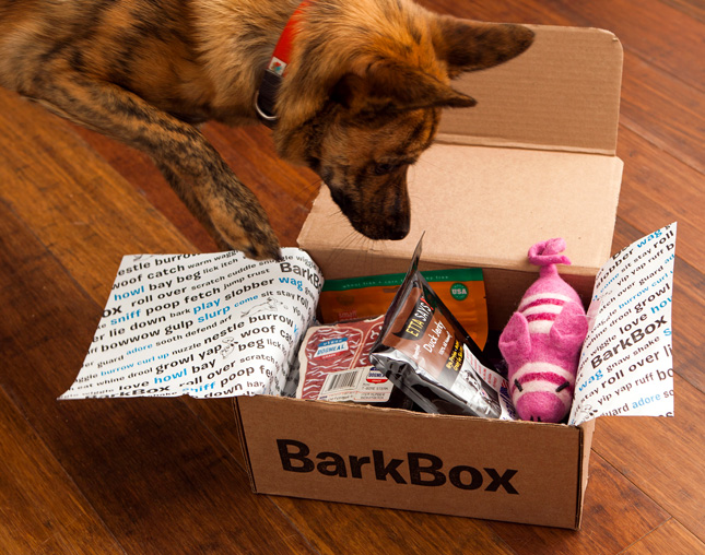 Win One Year of Dog Toys and Treats! (200 BarkBox Giveaway) Brit + Co